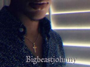 Bigbeastjohnny