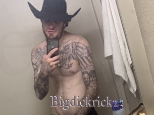 bigdickrick23 Erotik Cams