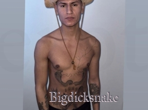 Bigdicksnake