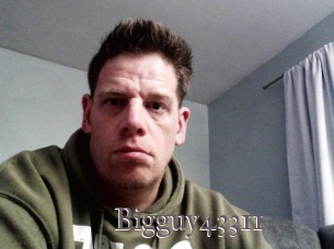 Bigguy43311