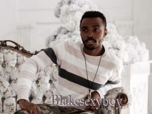 Blakesexyboy