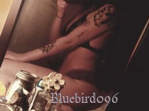 Bluebird096