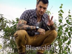 Bluewolfs31