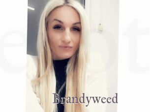 Brandyweed