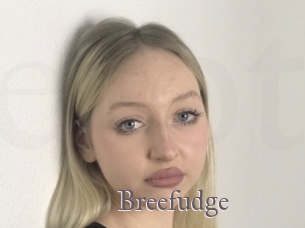 Breefudge