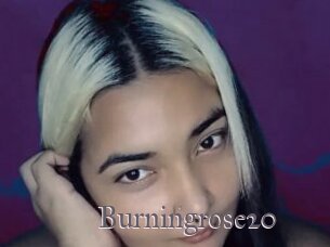 Burningrose20