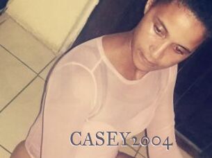 CASEY2004