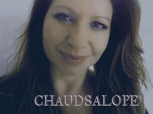 CHAUDSALOPE