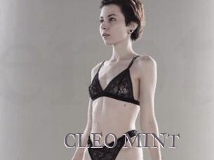 CLEO_MINT