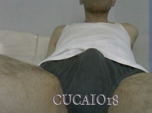 CUCAIO18