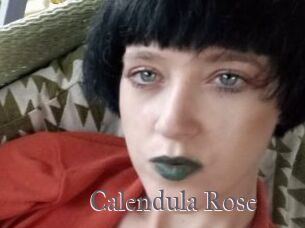 Calendula_Rose