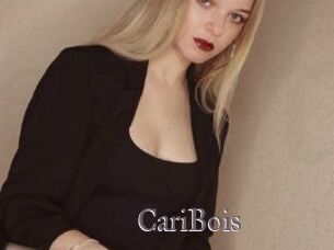 CariBois