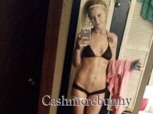 Cashmerebunny