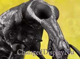 ChangedDisplayNu