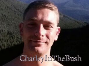 CharleyInTheBush