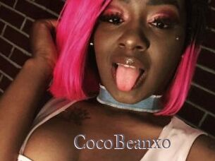 CocoBeanxo