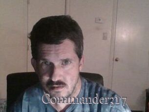 Commander317