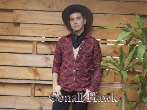 Conall_Hawk