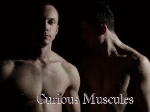 Curious_Muscules