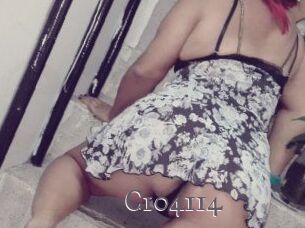 C104114