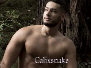 Calixsnake