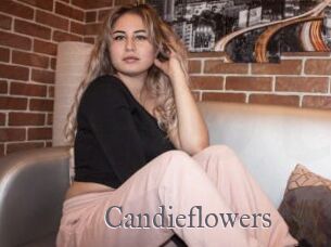 candieflowers Erotik Cams