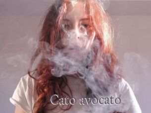Cato_avocato