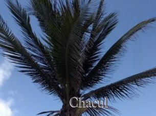 Chacul