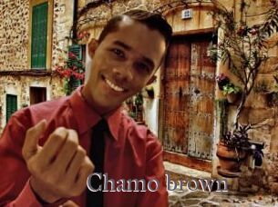 Chamo_brown
