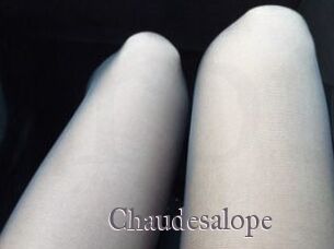 Chaudesalope