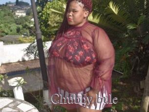 Chubby_bule