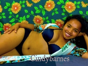 Cindybarnes