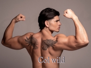 col_wild Erotik Cams