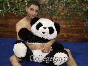 Collegegaym