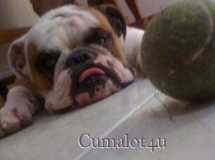 Cumalot4u