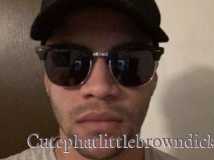 Cutephatlittlebrowndick