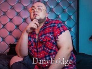 DanyBridge