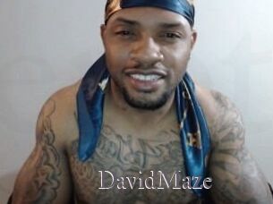 David_Maze