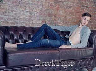DerekTiger