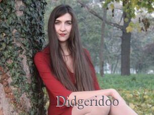 Didgeridoo