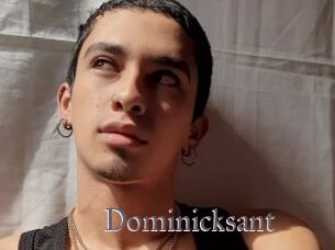 Dominicksant