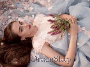 DreamSleep