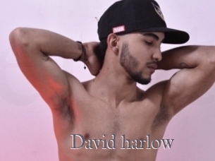 David_harlow