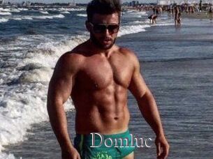 Domluc