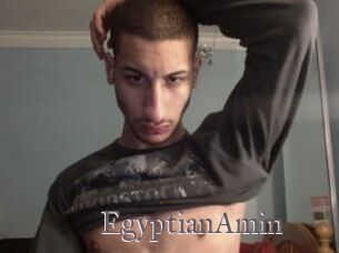 EgyptianAmin