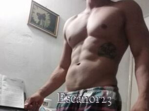 Escanor23
