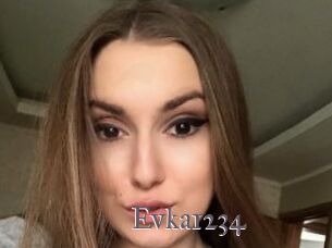 Evka1234