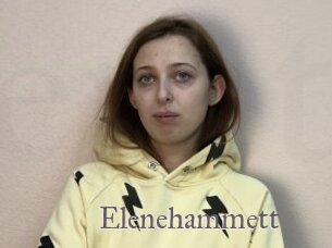 Elenehammett
