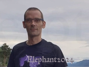 Elephant2024