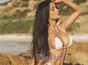 Elisa_koe